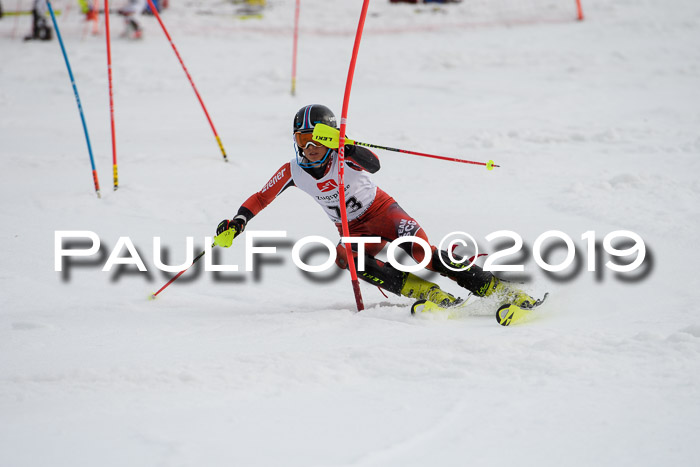 8. BZB CUP SL, 06.03.2019, Gudiberg