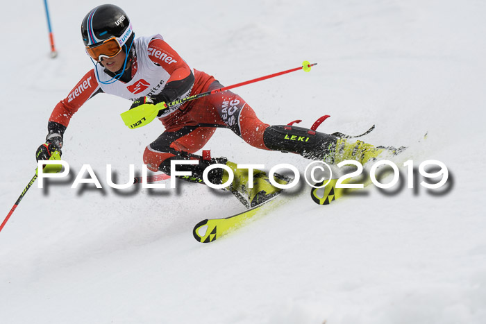 8. BZB CUP SL, 06.03.2019, Gudiberg