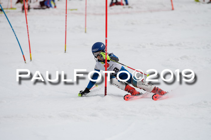 8. BZB CUP SL, 06.03.2019, Gudiberg