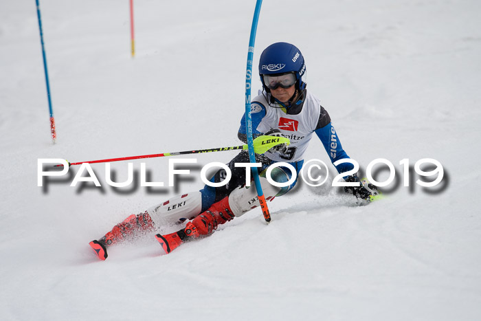8. BZB CUP SL, 06.03.2019, Gudiberg