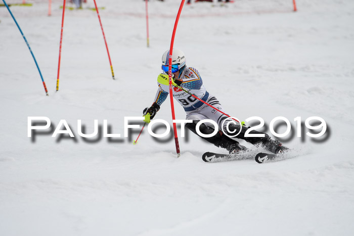 8. BZB CUP SL, 06.03.2019, Gudiberg