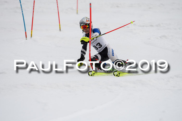 8. BZB CUP SL, 06.03.2019, Gudiberg