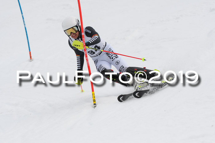 8. BZB CUP SL, 06.03.2019, Gudiberg