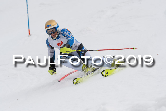 8. BZB CUP SL, 06.03.2019, Gudiberg