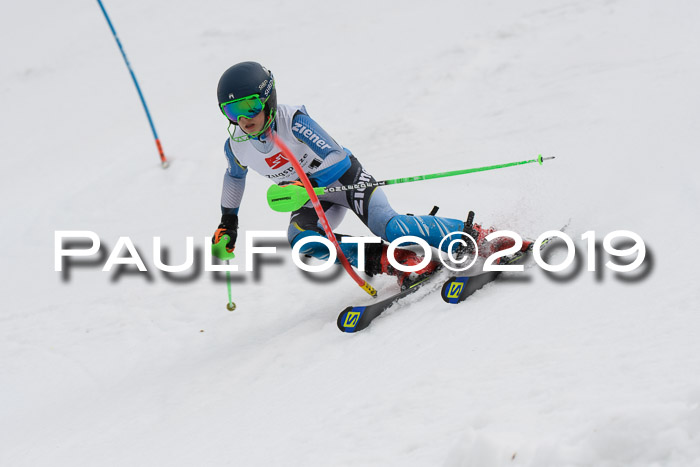 8. BZB CUP SL, 06.03.2019, Gudiberg