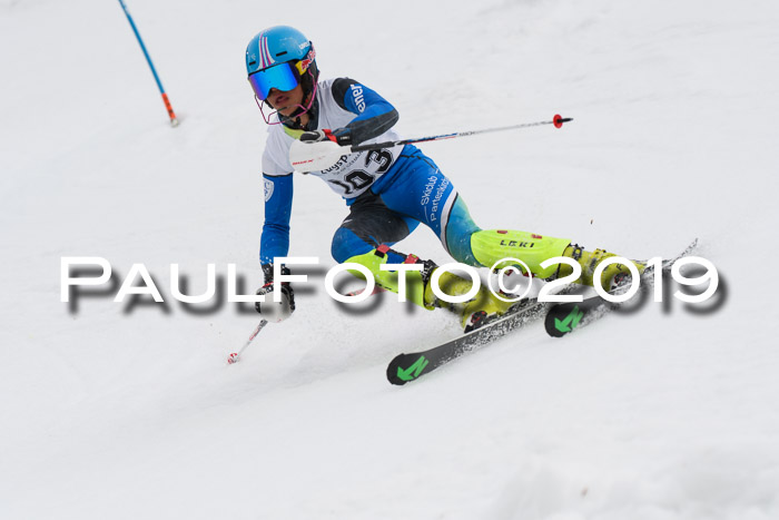8. BZB CUP SL, 06.03.2019, Gudiberg