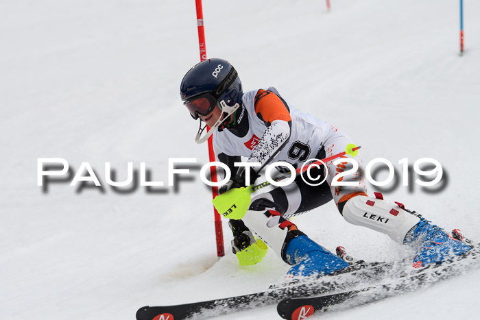 8. BZB CUP SL, 06.03.2019, Gudiberg