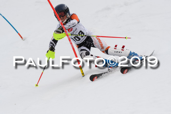 8. BZB CUP SL, 06.03.2019, Gudiberg