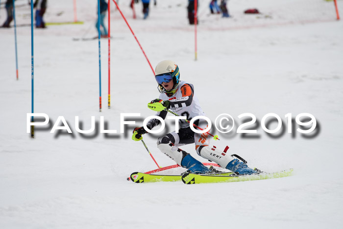 8. BZB CUP SL, 06.03.2019, Gudiberg