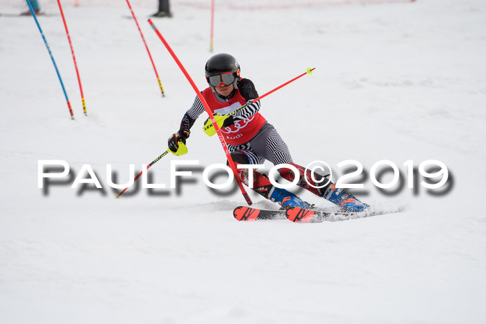8. BZB CUP SL, 06.03.2019, Gudiberg