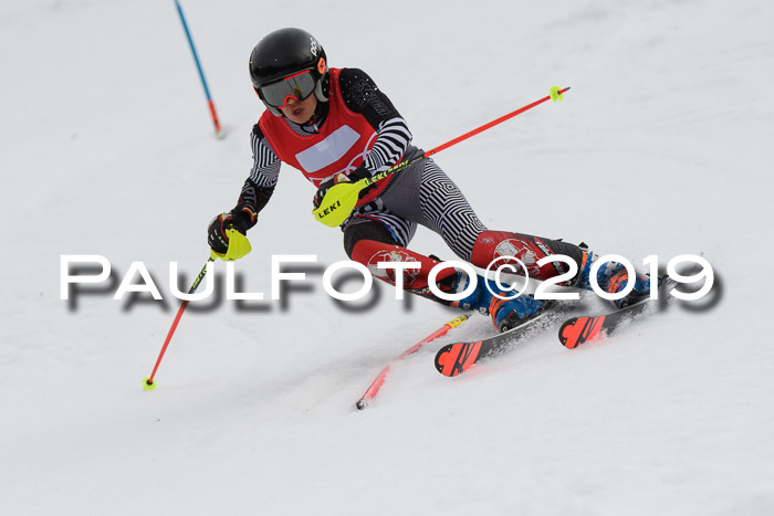 8. BZB CUP SL, 06.03.2019, Gudiberg
