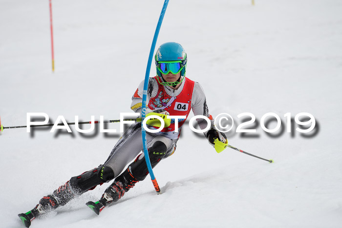 8. BZB CUP SL, 06.03.2019, Gudiberg