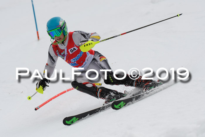 8. BZB CUP SL, 06.03.2019, Gudiberg