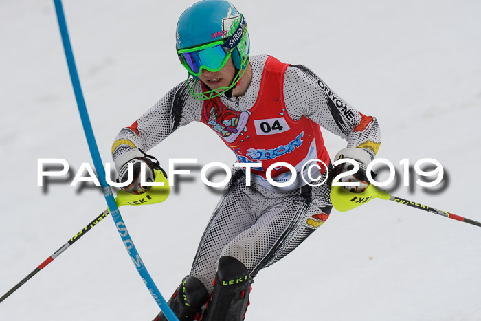 8. BZB CUP SL, 06.03.2019, Gudiberg