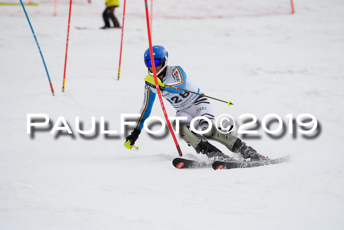 8. BZB CUP SL, 06.03.2019, Gudiberg