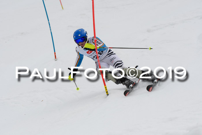 8. BZB CUP SL, 06.03.2019, Gudiberg