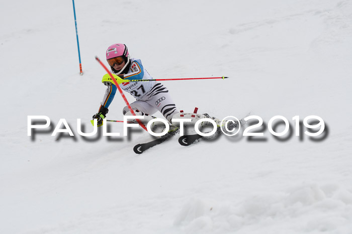 8. BZB CUP SL, 06.03.2019, Gudiberg