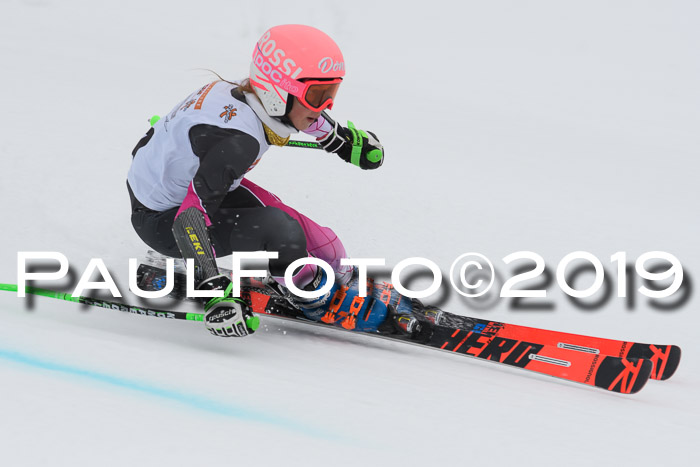DSV Schülercup Finale U14 RS 08.03.2019