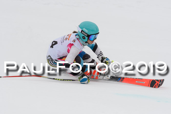 DSV Schülercup Finale U14 RS 08.03.2019