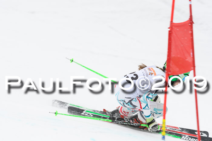 DSV Schülercup Finale U14 RS 08.03.2019
