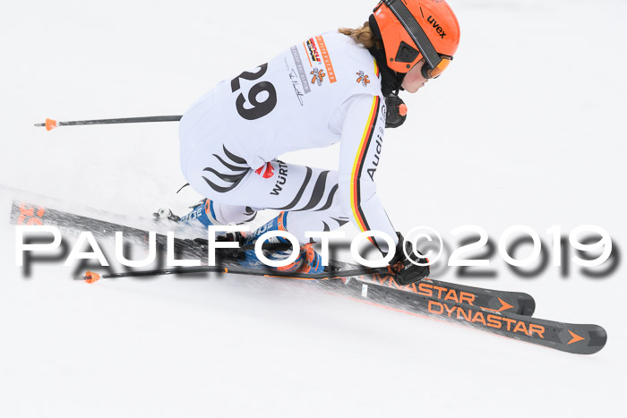 DSV Schülercup Finale U14 RS 08.03.2019