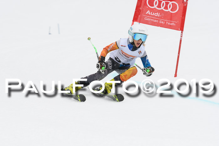 DSV Schülercup Finale U14 RS 08.03.2019