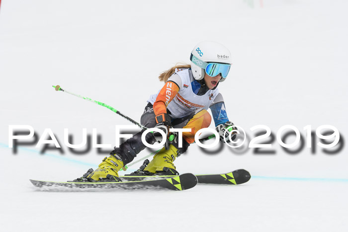 DSV Schülercup Finale U14 RS 08.03.2019