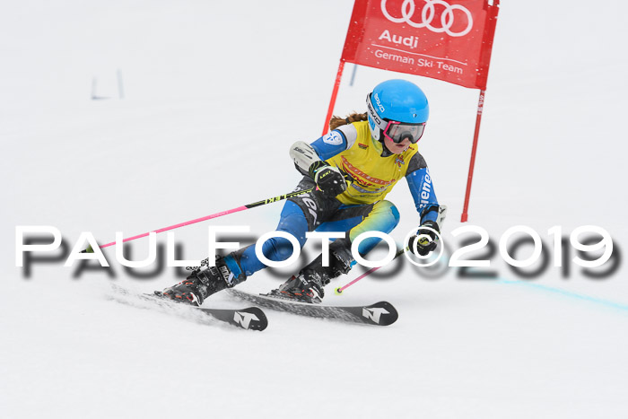 DSV Schülercup Finale U14 RS 08.03.2019