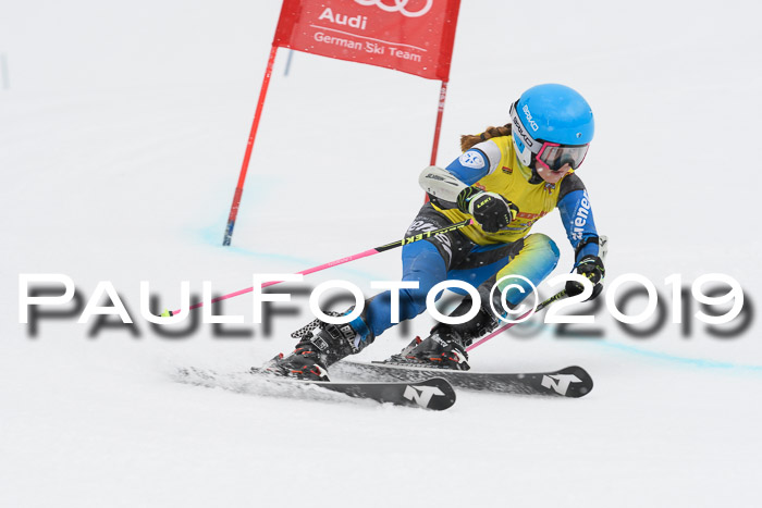 DSV Schülercup Finale U14 RS 08.03.2019