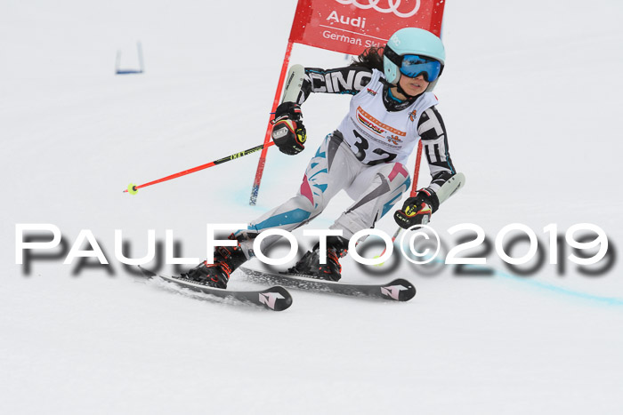 DSV Schülercup Finale U14 RS 08.03.2019