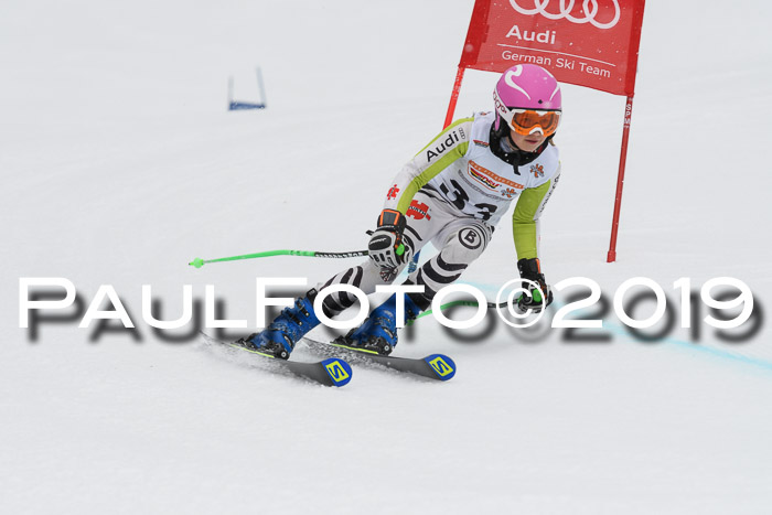 DSV Schülercup Finale U14 RS 08.03.2019