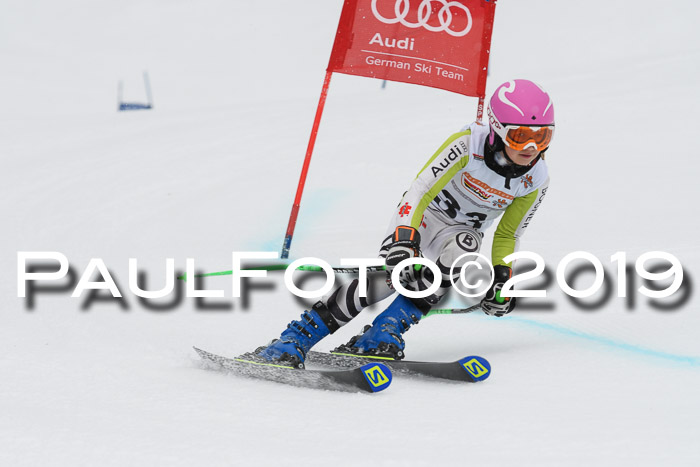 DSV Schülercup Finale U14 RS 08.03.2019