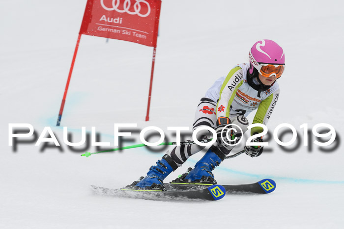 DSV Schülercup Finale U14 RS 08.03.2019