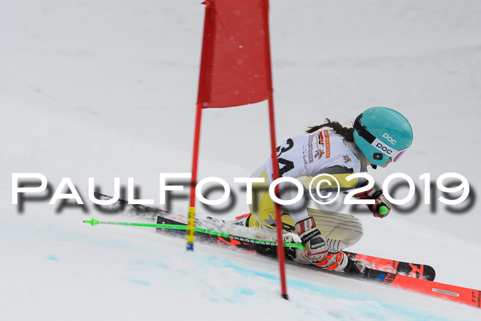 DSV Schülercup Finale U14 RS 08.03.2019