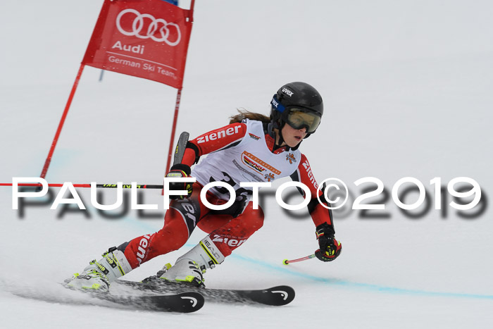 DSV Schülercup Finale U14 RS 08.03.2019