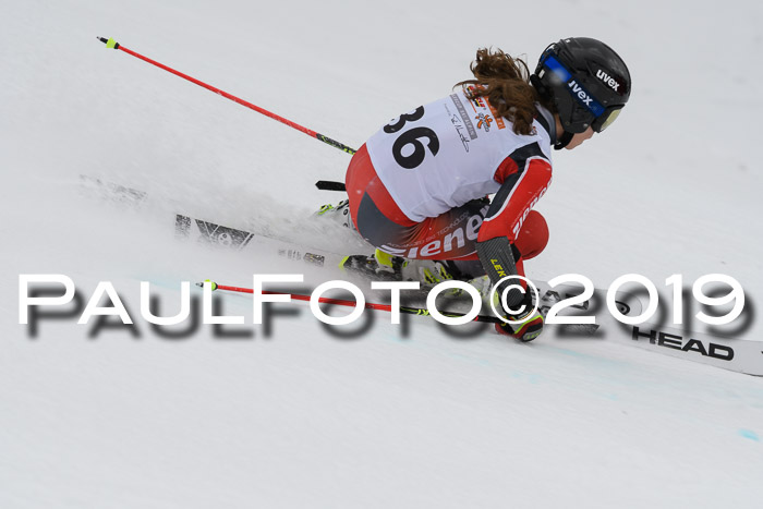 DSV Schülercup Finale U14 RS 08.03.2019