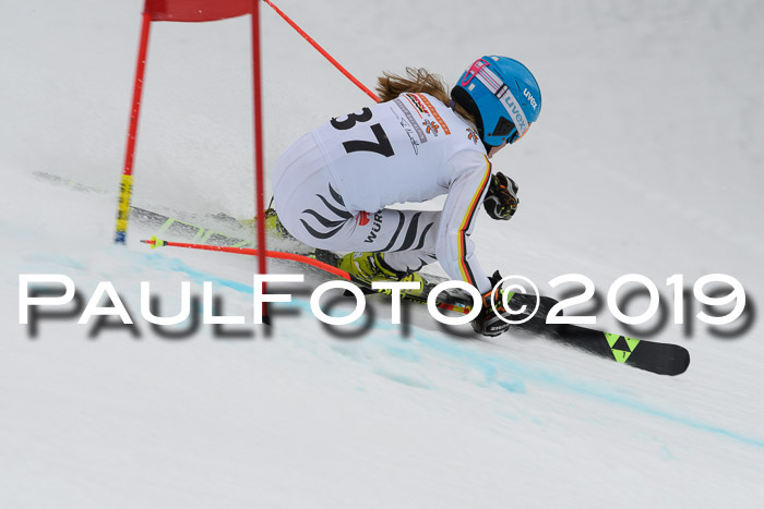 DSV Schülercup Finale U14 RS 08.03.2019