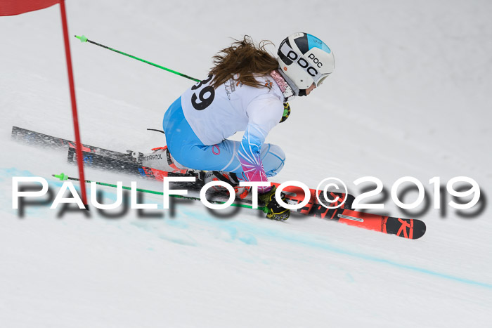 DSV Schülercup Finale U14 RS 08.03.2019