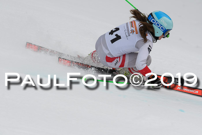 DSV Schülercup Finale U14 RS 08.03.2019