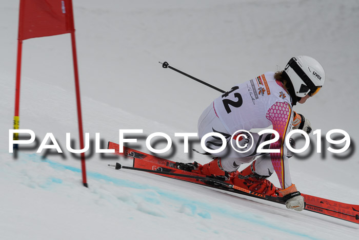 DSV Schülercup Finale U14 RS 08.03.2019