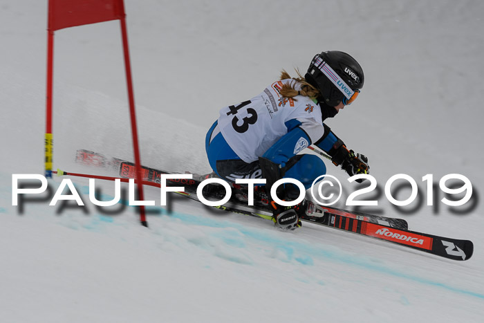 DSV Schülercup Finale U14 RS 08.03.2019