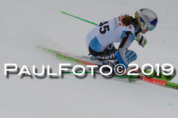 DSV Schülercup Finale U14 RS 08.03.2019