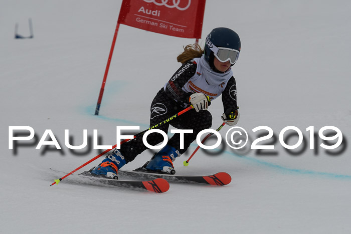 DSV Schülercup Finale U14 RS 08.03.2019