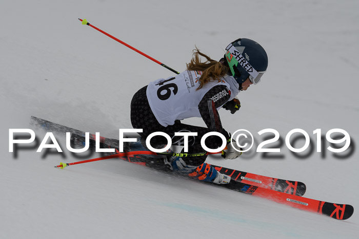 DSV Schülercup Finale U14 RS 08.03.2019