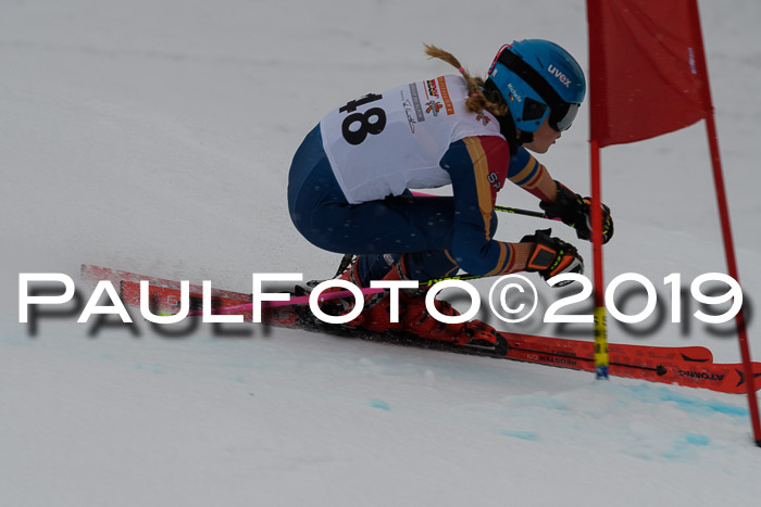 DSV Schülercup Finale U14 RS 08.03.2019