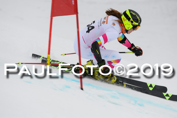 DSV Schülercup Finale U14 RS 08.03.2019