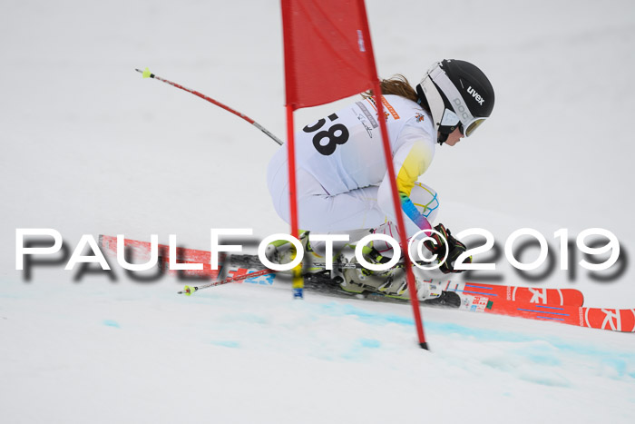 DSV Schülercup Finale U14 RS 08.03.2019