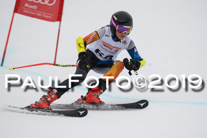 DSV Schülercup Finale U14 RS 08.03.2019