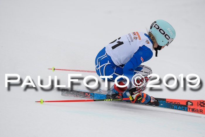DSV Schülercup Finale U14 RS 08.03.2019