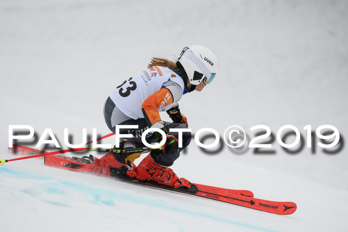 DSV Schülercup Finale U14 RS 08.03.2019